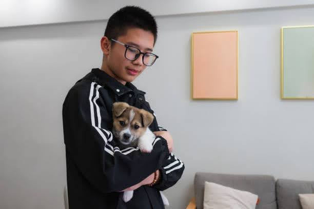 My Realistic Robot Puppy