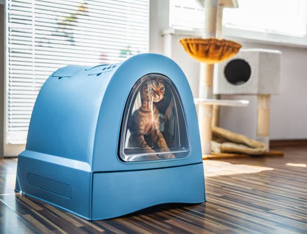 litter robot alternative