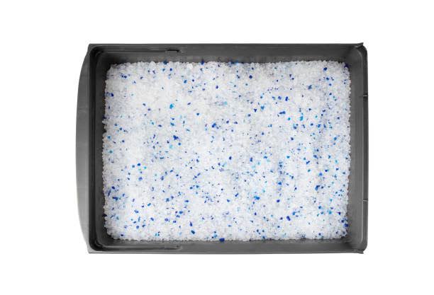 litter robot alternatives